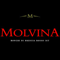 Molvina