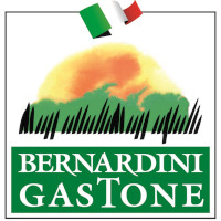 Bernardini Gastone 
