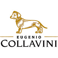 Collavini