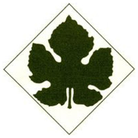 Maccario Dringenberg