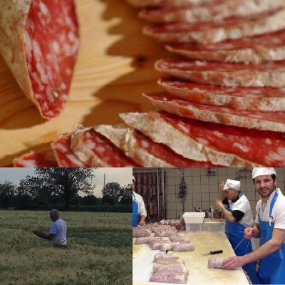 Fotografia caricata da OIP