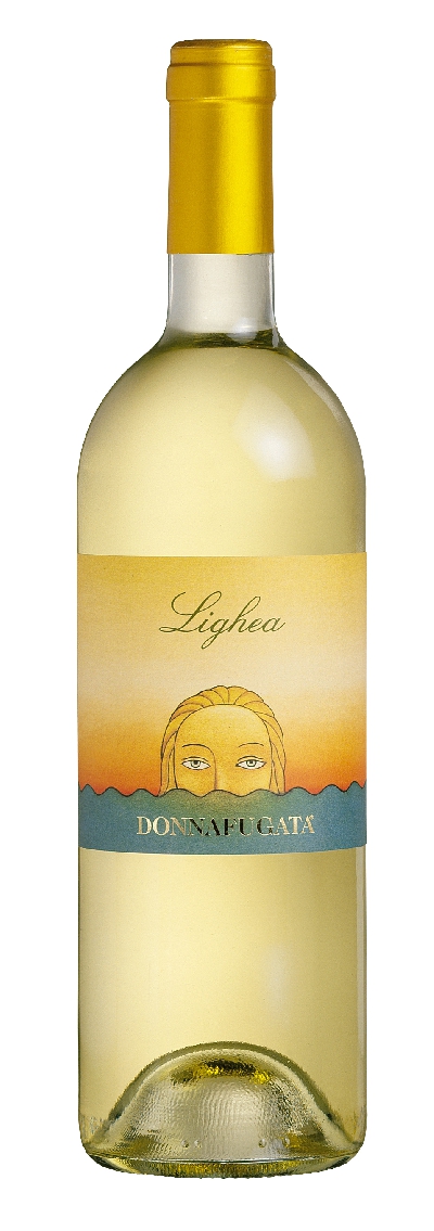 Fotografia caricata da OIP