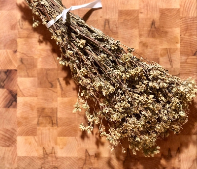 Fotografia caricata da OIP