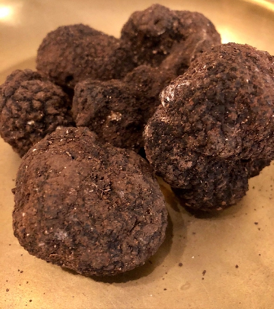 Fotografia caricata da OIP