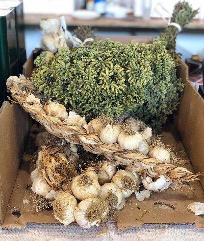 Fotografia caricata da OIP