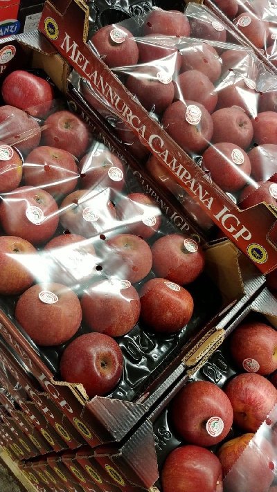 Fotografia caricata da OIP