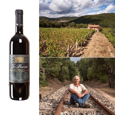 Fotografia caricata da OIP