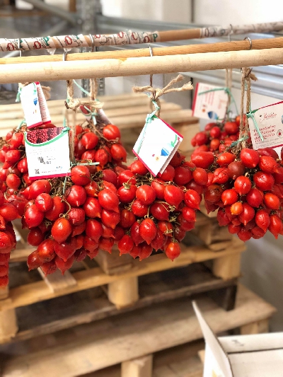 Fotografia caricata da OIP