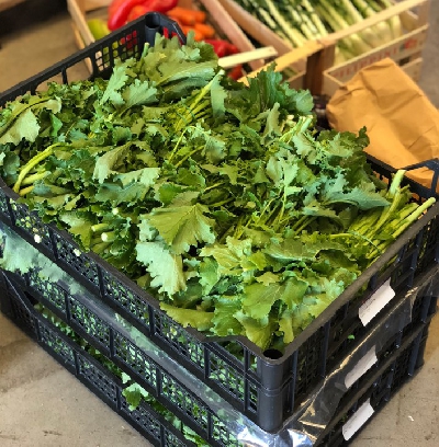 Fotografia caricata da OIP