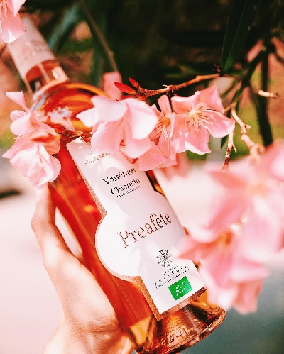 Fotografia caricata da OIP