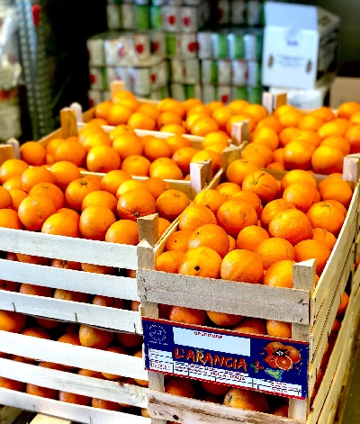 Fotografia caricata da OIP