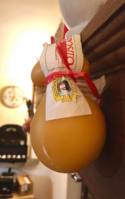 Fotografia caricata da OIP