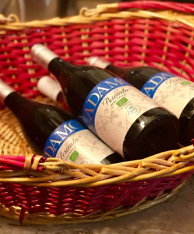 Fotografia caricata da OIP