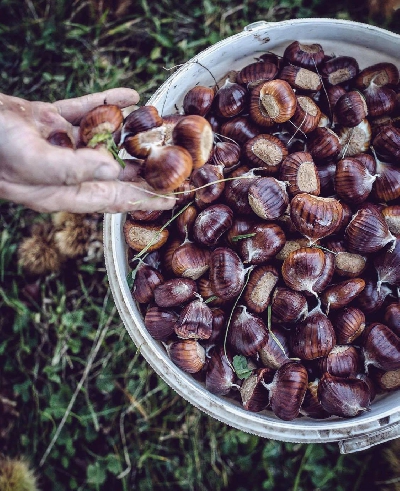 Fotografia caricata da OIP