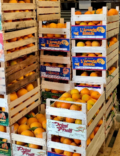 Fotografia caricata da OIP