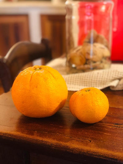 Fotografia caricata da OIP