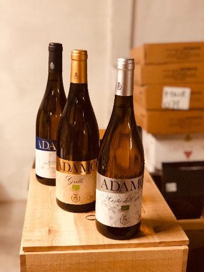 Fotografia caricata da OIP