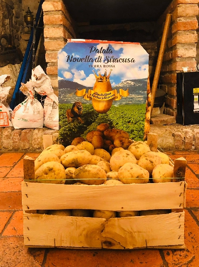 Fotografia caricata da OIP