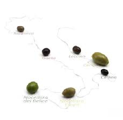 Fotografia caricata da OIP