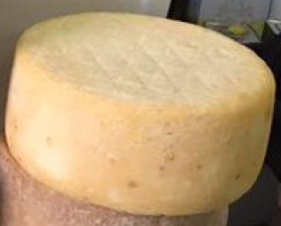 Fotografia caricata da OIP