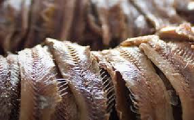 Fotografia caricata da OIP