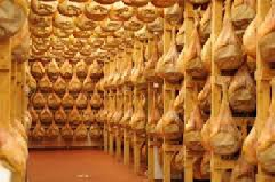 Fotografia caricata da OIP