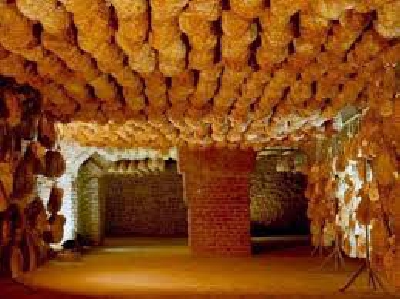 Fotografia caricata da OIP