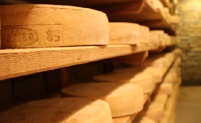 Fotografia caricata da OIP