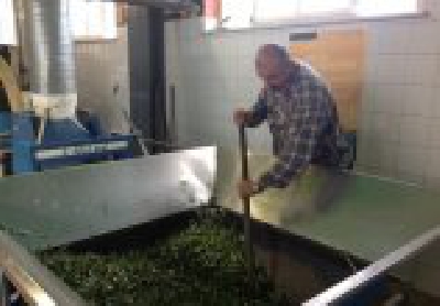 Fotografia caricata da OIP