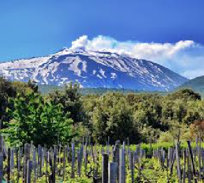 Fotografia caricata da OIP