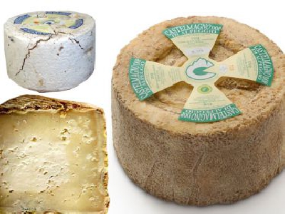 Fotografia caricata da OIP