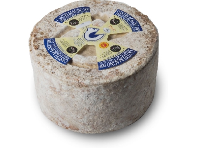 Fotografia caricata da OIP