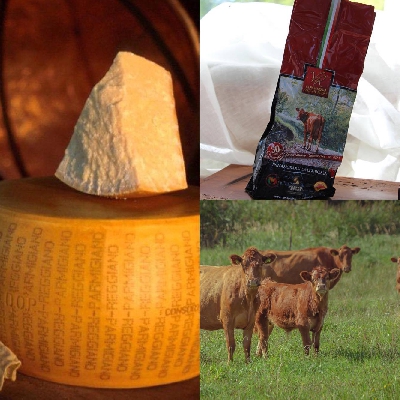 Fotografia caricata da OIP