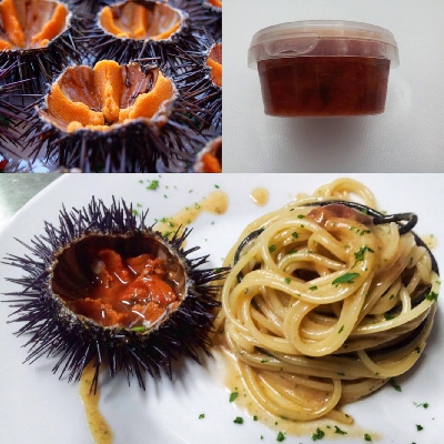 Fotografia caricata da OIP