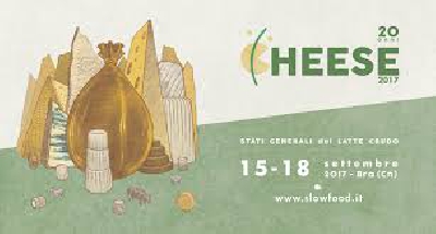 Fotografia caricata da OIP