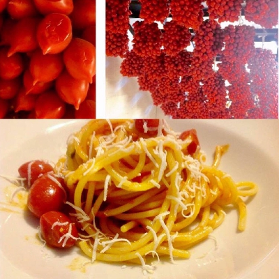 Fotografia caricata da OIP