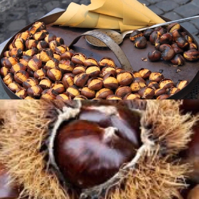 Fotografia caricata da OIP