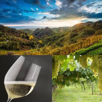 Fotografia caricata da OIP