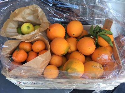 Fotografia caricata da OIP