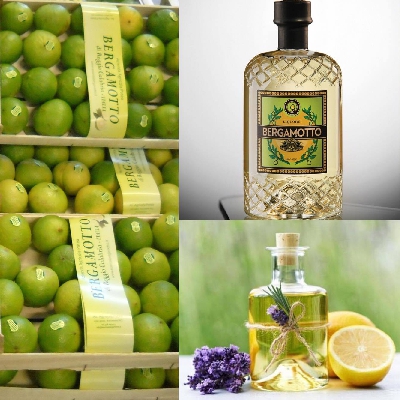 Fotografia caricata da OIP