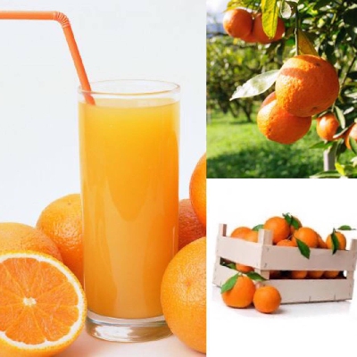 Fotografia caricata da OIP