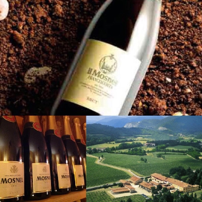 Fotografia caricata da OIP