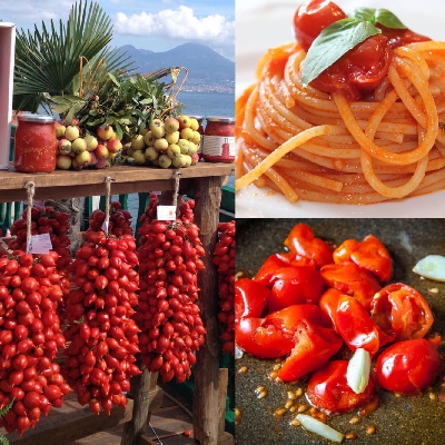 Fotografia caricata da OIP