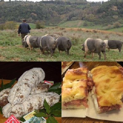 Fotografia caricata da OIP