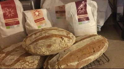 Fotografia caricata da OIP