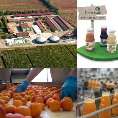 Fotografia caricata da OIP