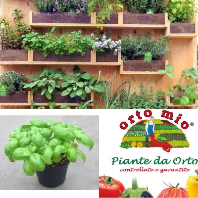 Fotografia caricata da OIP