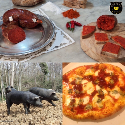 Fotografia caricata da OIP