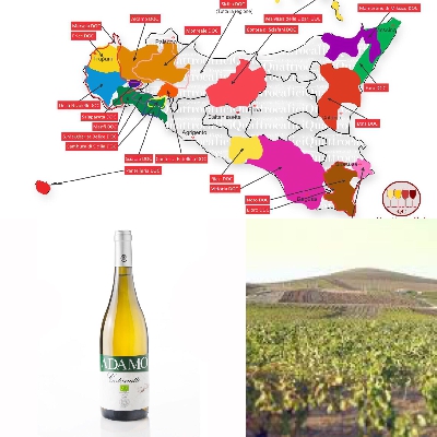 Fotografia caricata da OIP