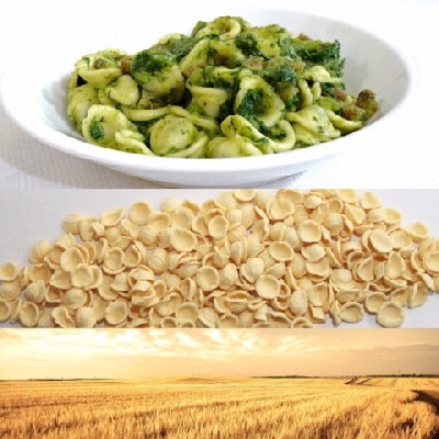 Fotografia caricata da OIP